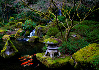 Japanese Garden 2013