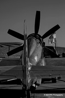 P-51 Modified (Precious Metal)