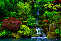 Japanese Waterfall