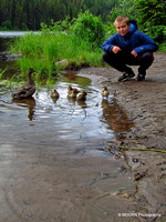Duck Family & Bryan