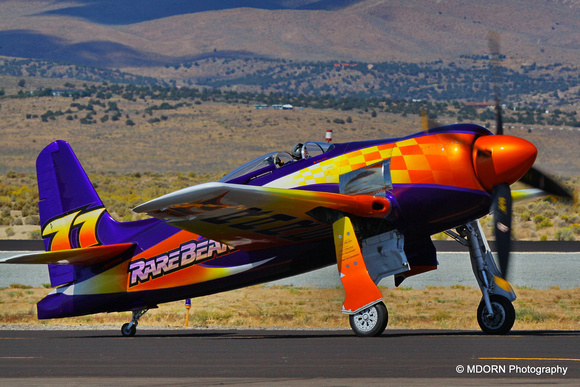 Grumman F8F-2 Bearcat (Rare Bear)