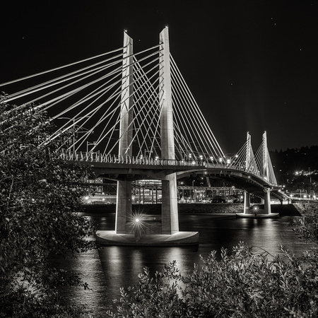 Tilikum Crossing (Bridge of the People) - Black & White