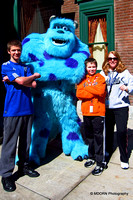 Sully Stand Tough
