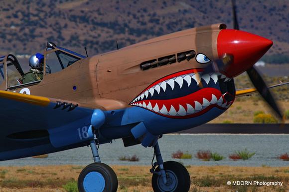 Curtiss P-40 Warhawk