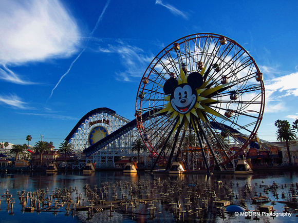 Mikey Ferris Wheel